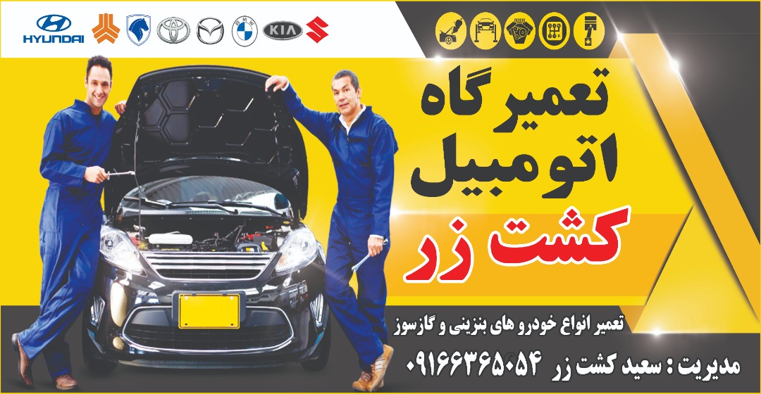 دیاگ و عیب یابی تخصصی